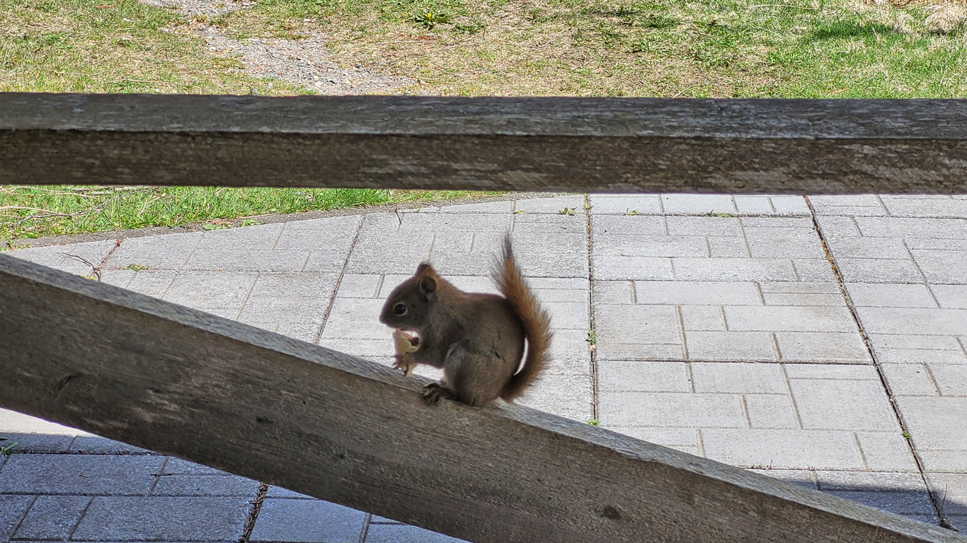 20240507_113035.jpg 20240507_113035.jpg