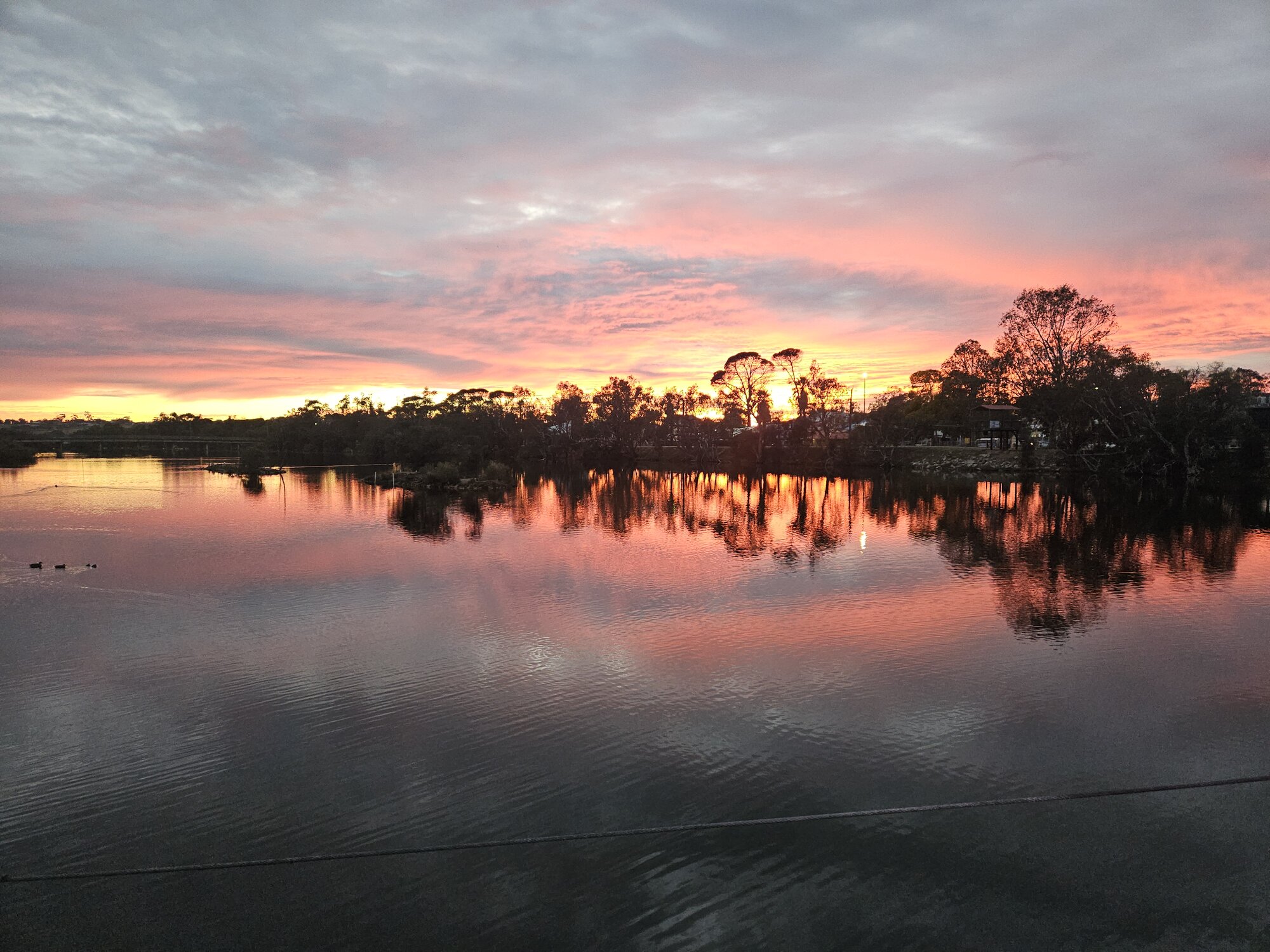 20240626_070614 (1).jpg