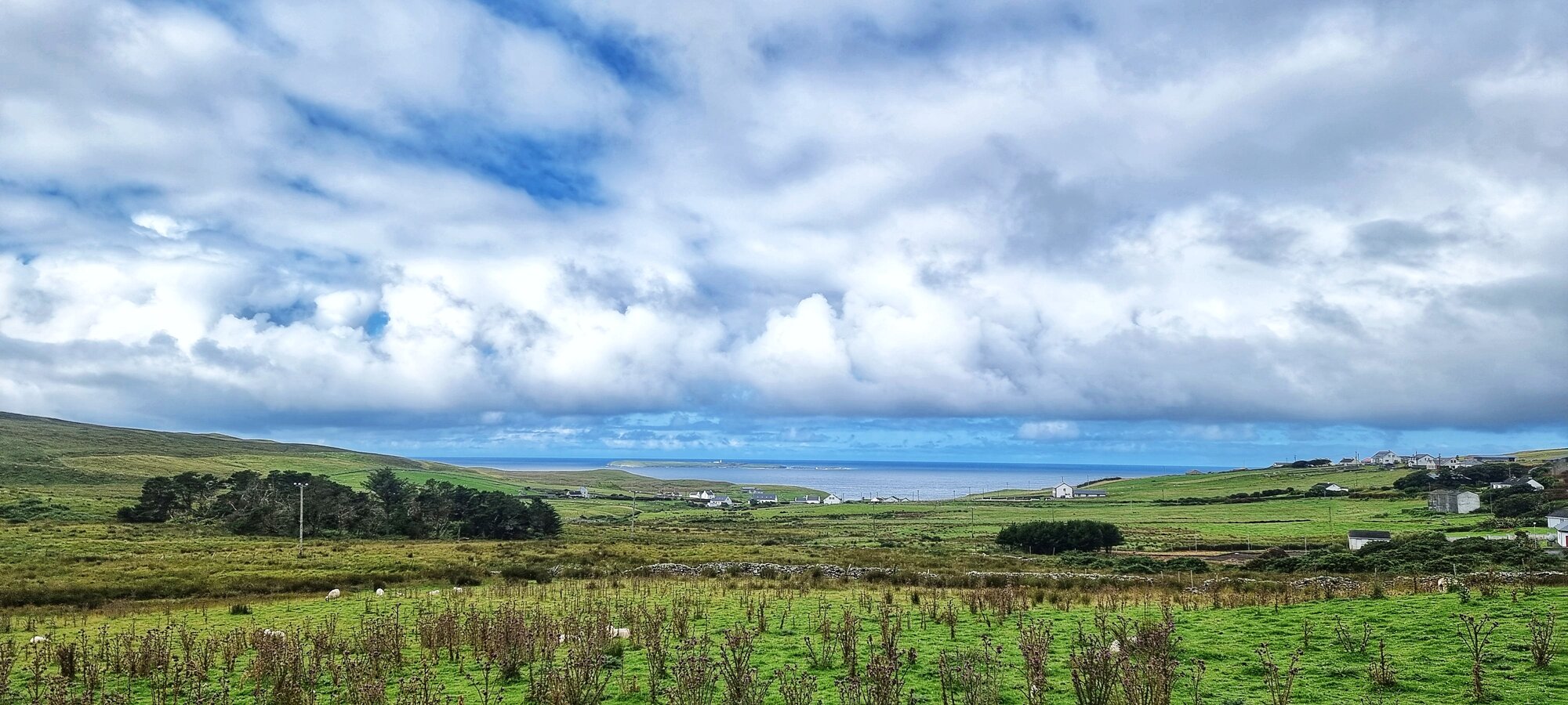 20240727_103010 (1).jpg