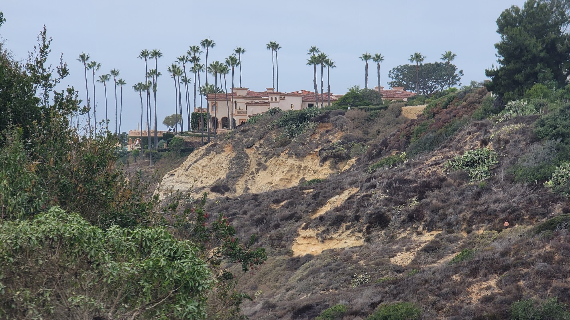 20241227_113834.jpg 20241227_113834.jpg