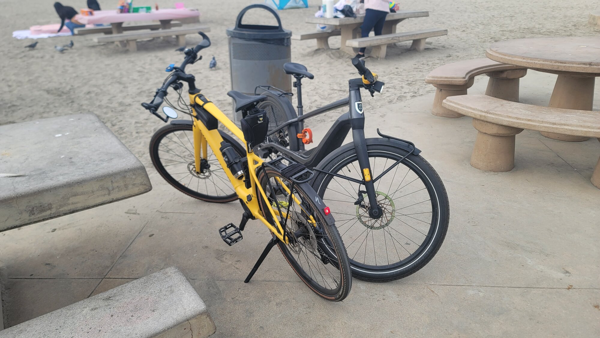 20241227_125205.jpg 20241227_125205.jpg