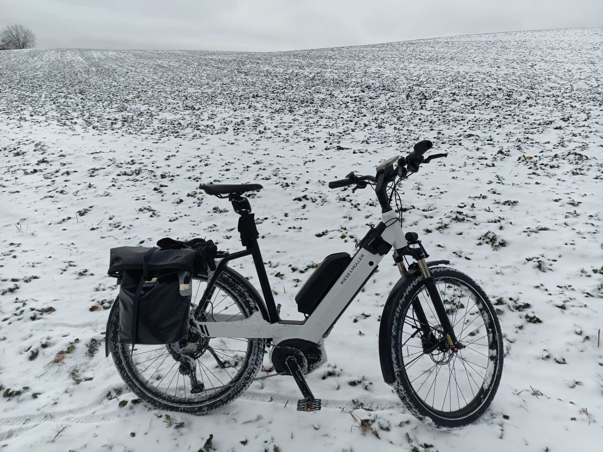 2025-12-14 13-49-06.jpg