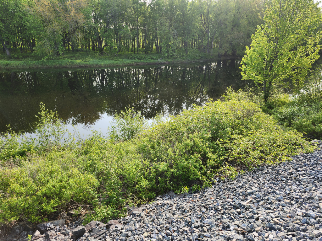 20250604_080327.jpg
