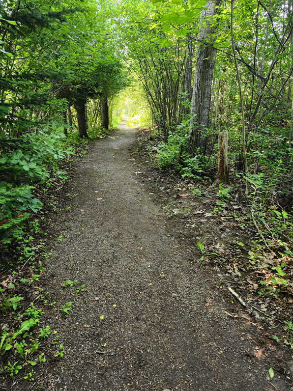 20250703_094914.jpg