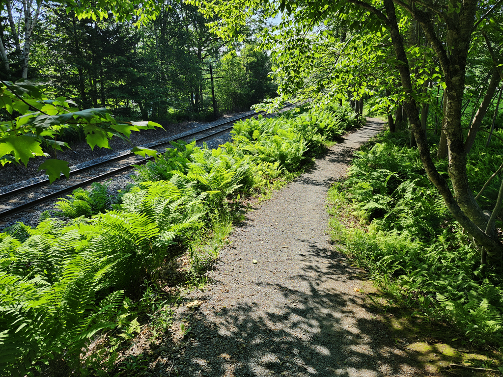 20250703_095509.jpg