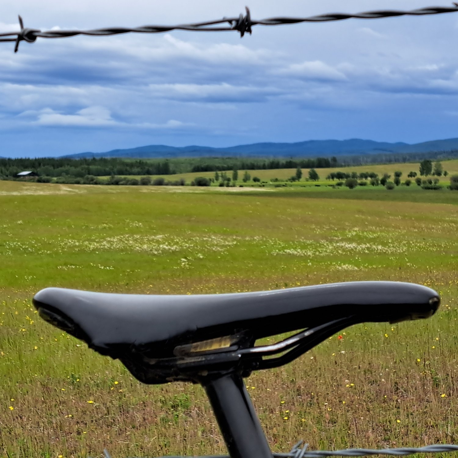 20250711_132058 (1).jpg