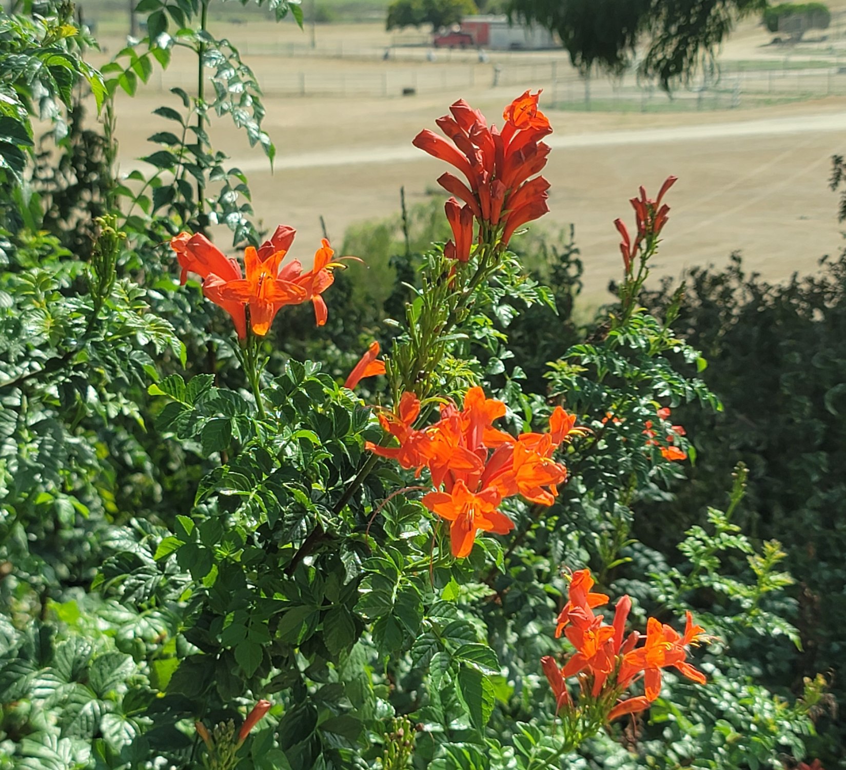20250809_152134.jpg