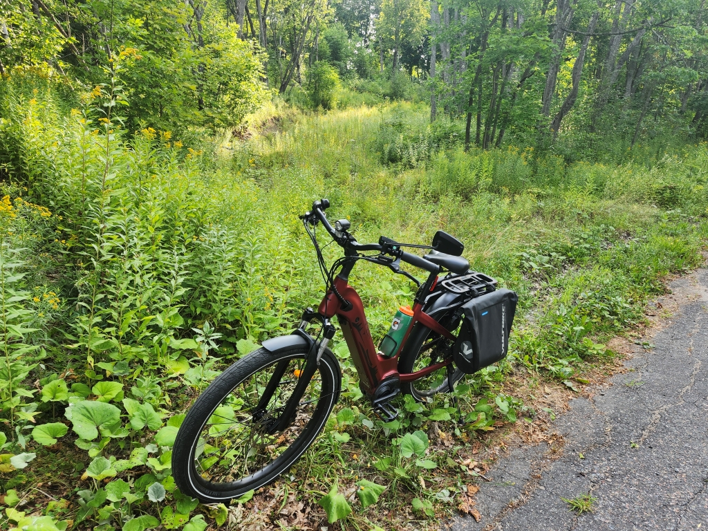 20250810_084518.jpg
