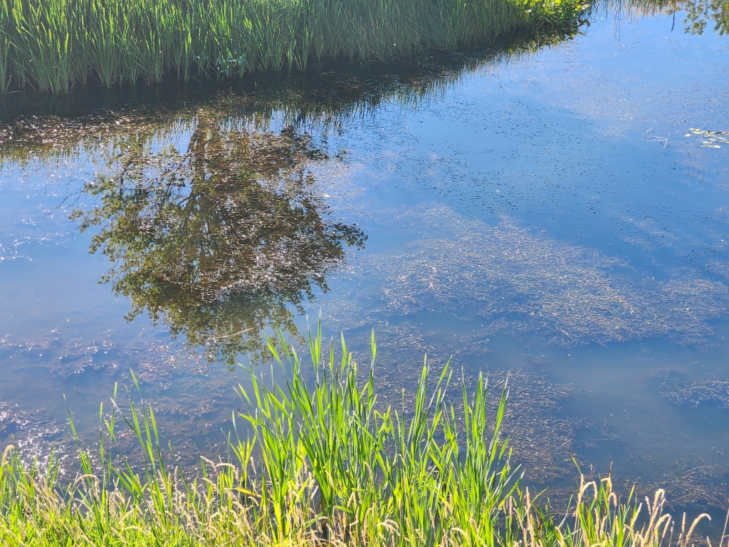 20250816_091211.jpg