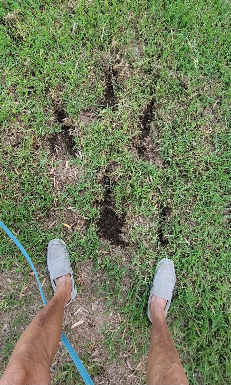 20251007_181232.jpg