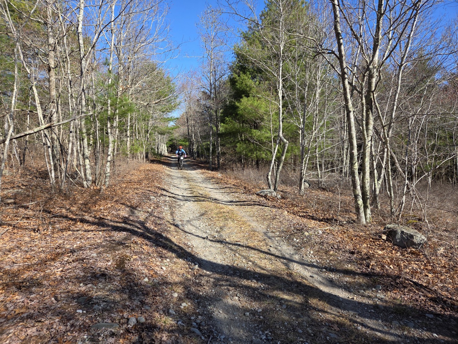 20260412_093732_resized (Custom).jpg