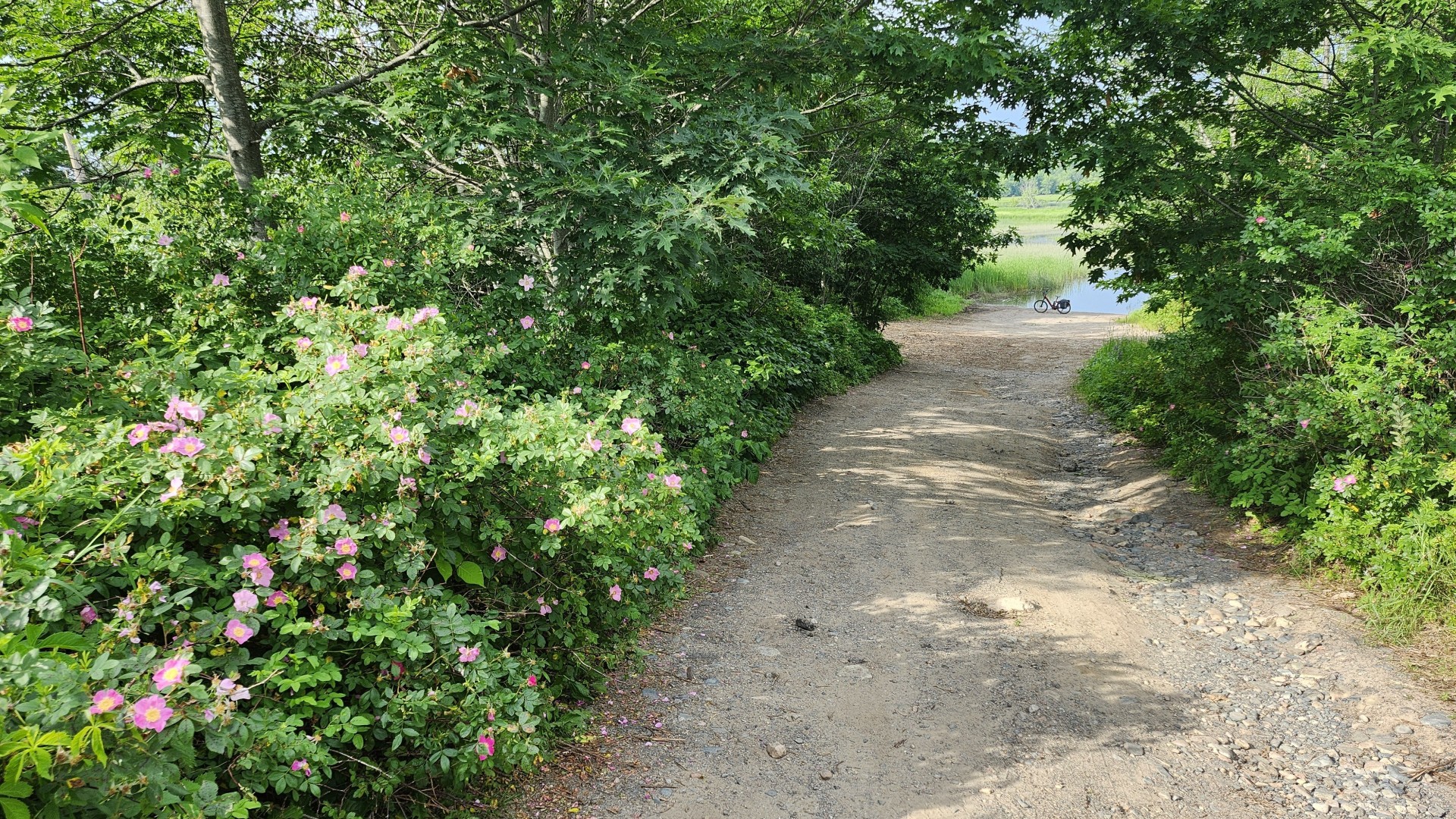 20260708_090143_cr.jpg