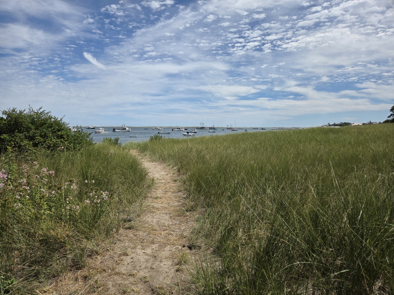 20260815_134757_resized (Custom).jpg