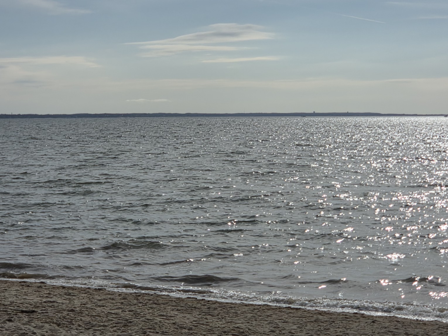20260916_154235_resized_2 (Custom).jpg