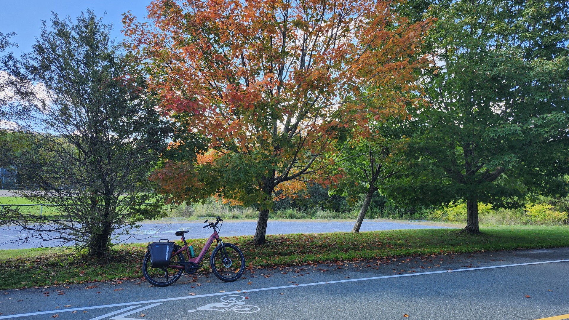 20260918_141749_cr.jpg
