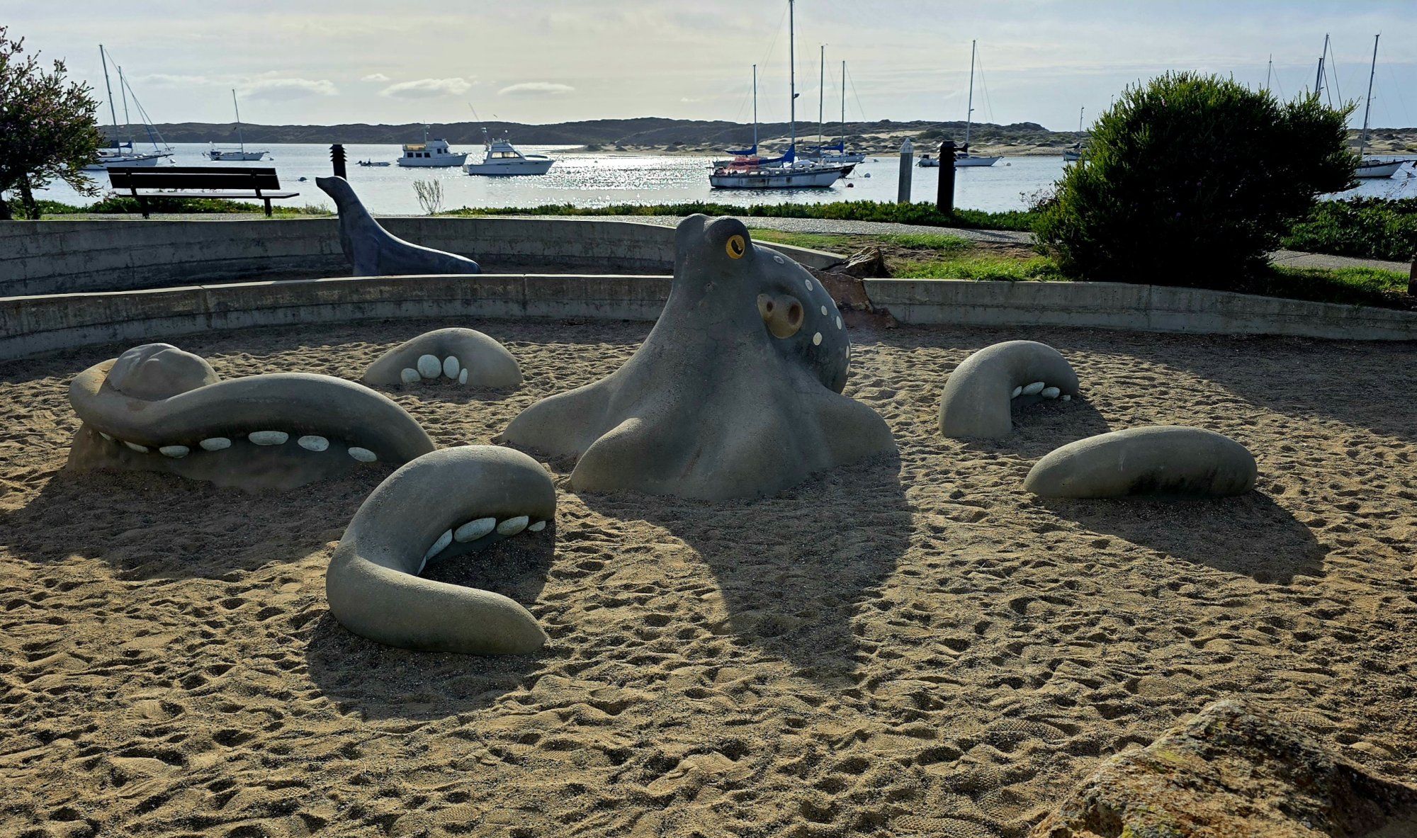 20261020_162247.jpg