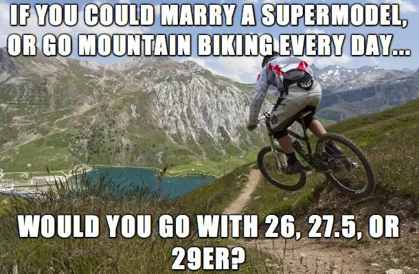 29er.jpg