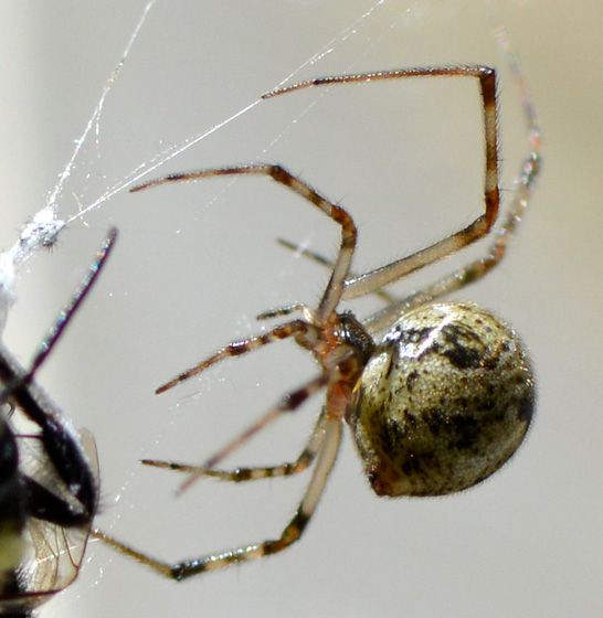 2LSZCLSZ1LMZTLMZZHKRCZLZJZKRFZFLOZMRCZQRJZFLOZKRTZJLTZZZ3ZIR3ZYLWLKR9LXZLHGRDLQZ.jpg 2LSZCLSZ1LMZTLMZZHKRCZLZJZKRFZFLOZMRCZQRJZFLOZKRTZJLTZZZ3ZIR3ZYLWLKR9LXZLHGRDLQZ.jpg