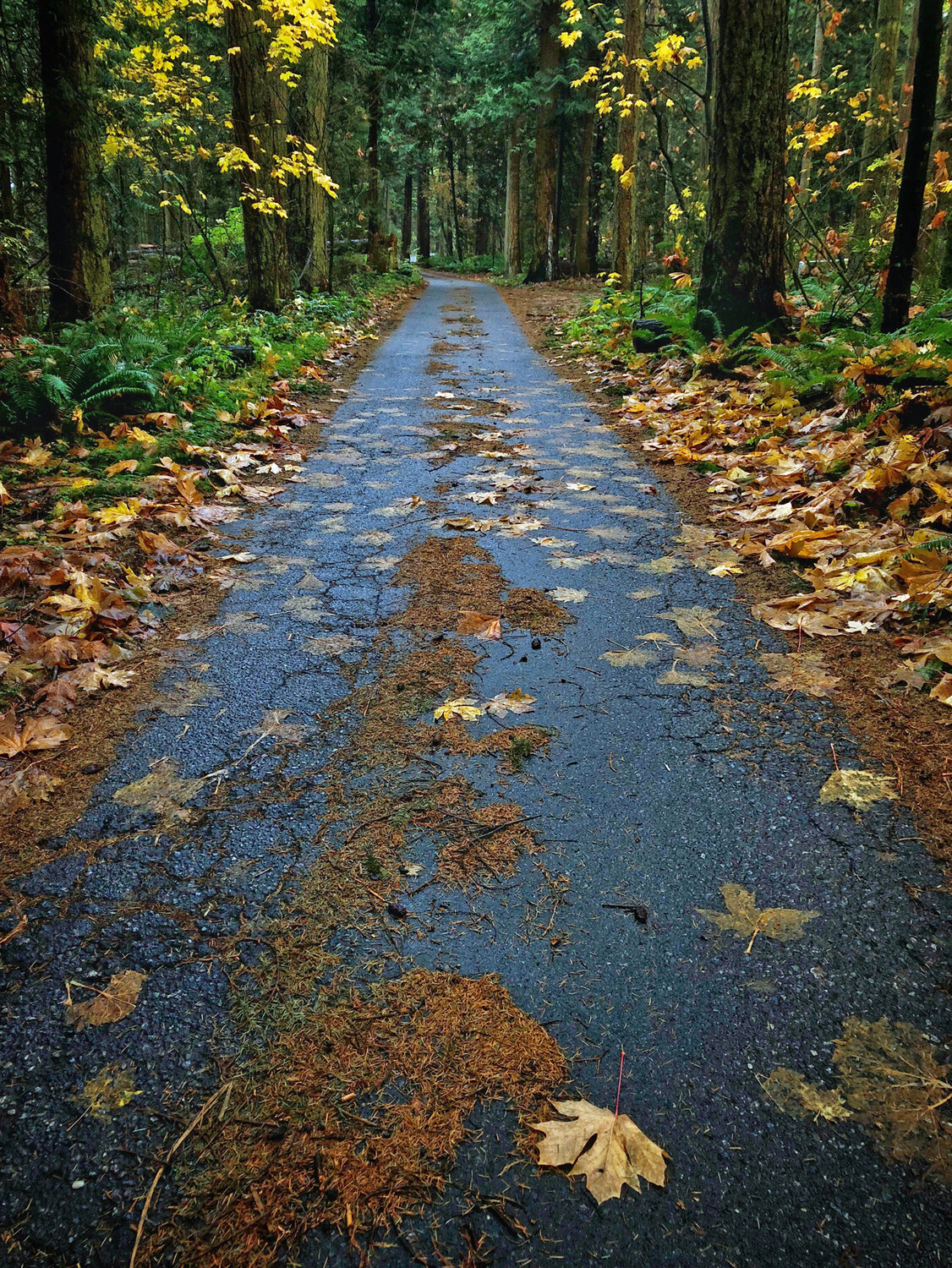 ave tour electric bike