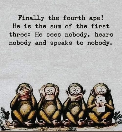 4-monkeys.jpg