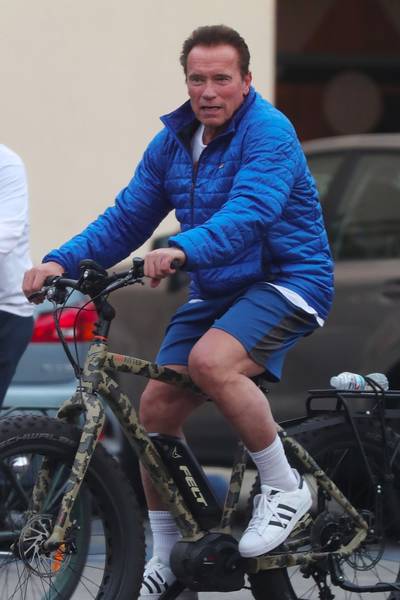 Arnold schwarzenegger fat discount bike