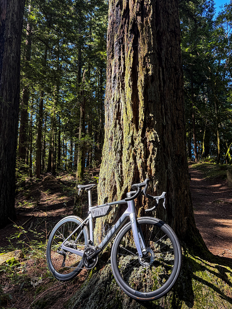 4172-scottRedwood.jpg