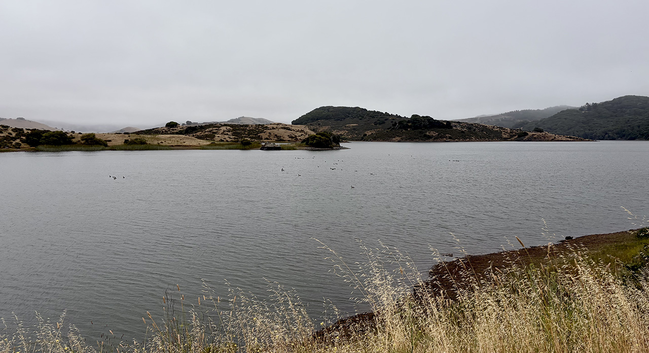 4497-res.jpg