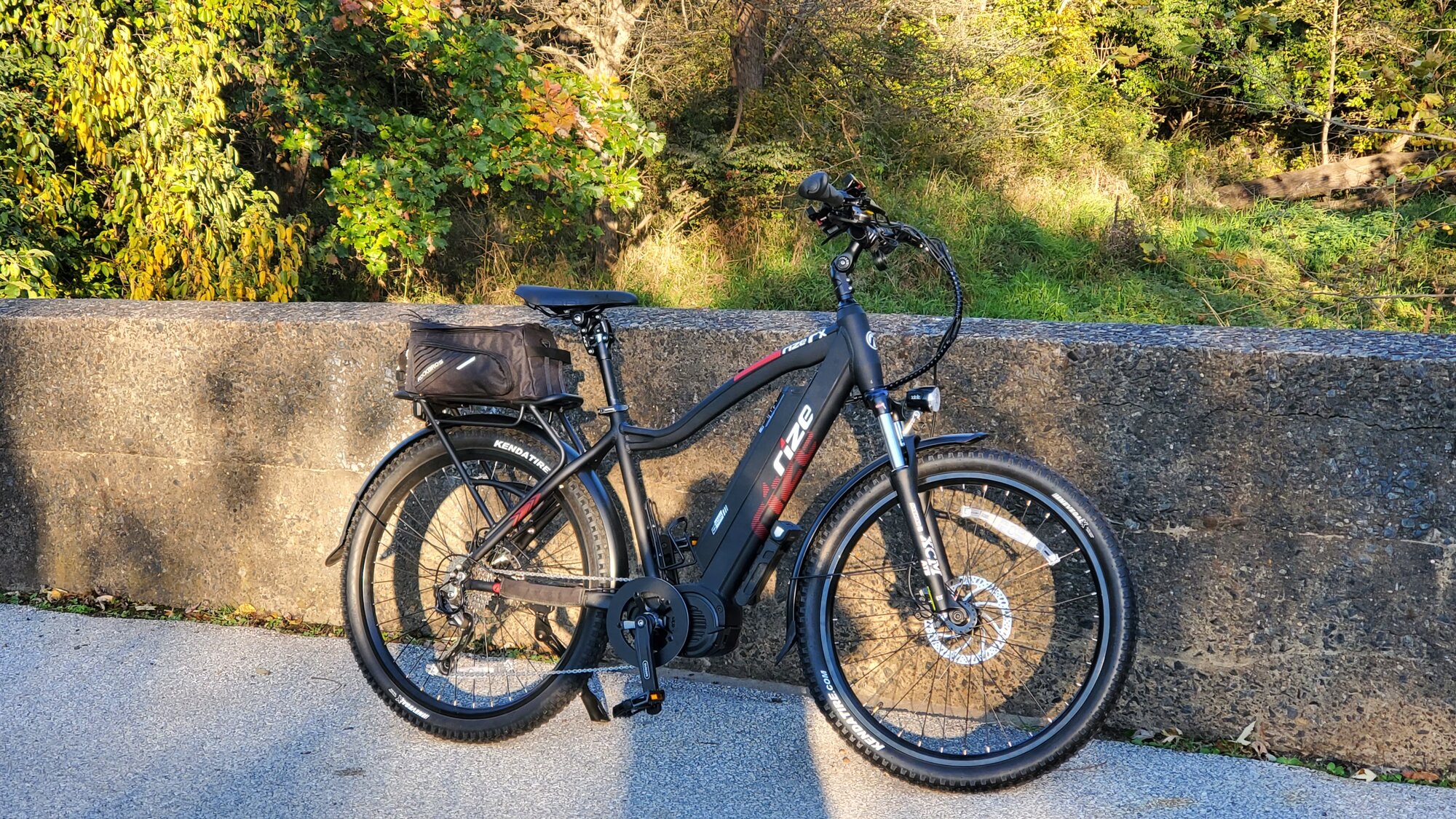 Rize rx sale ebike