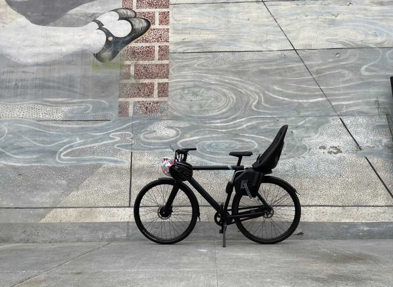 Vanmoof x3 child online seat