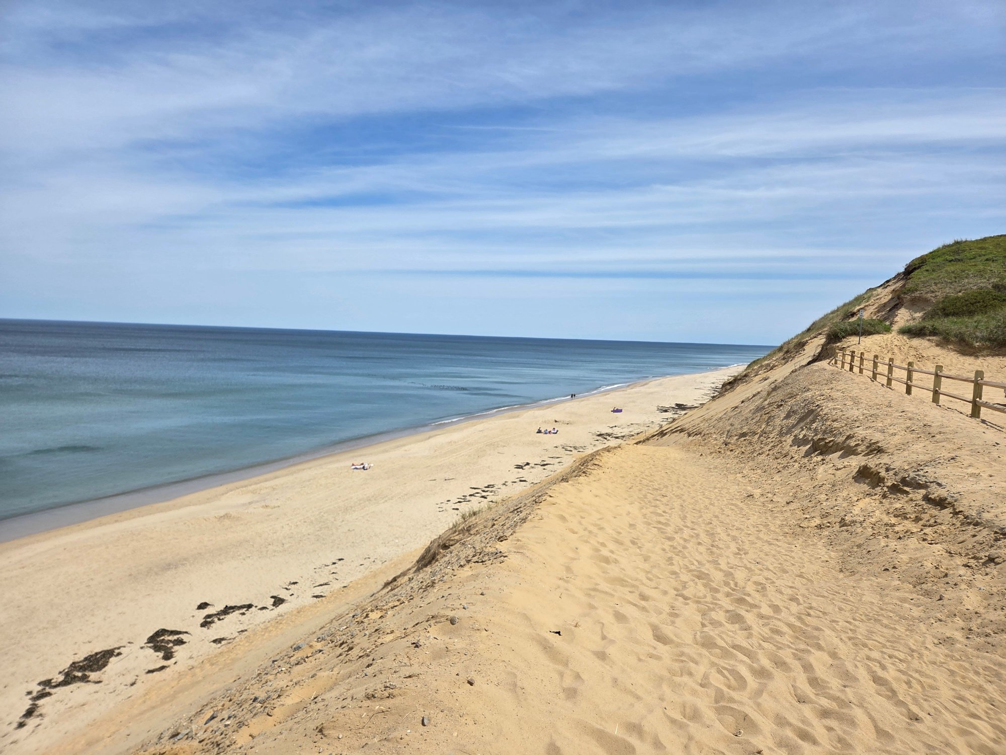 beachcomber10-s.jpg