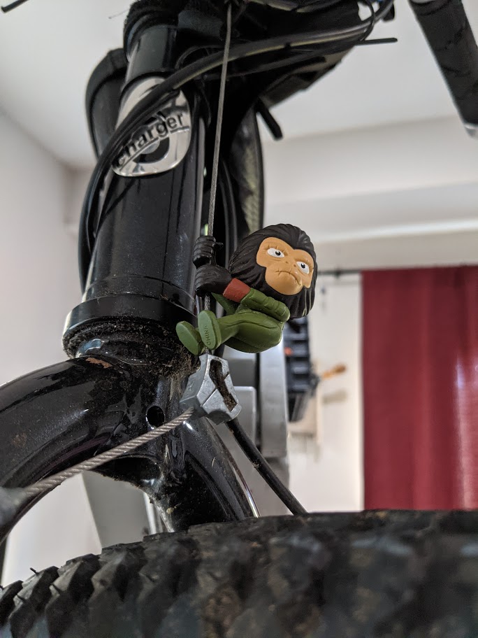 bike-chimp-closeup.jpg