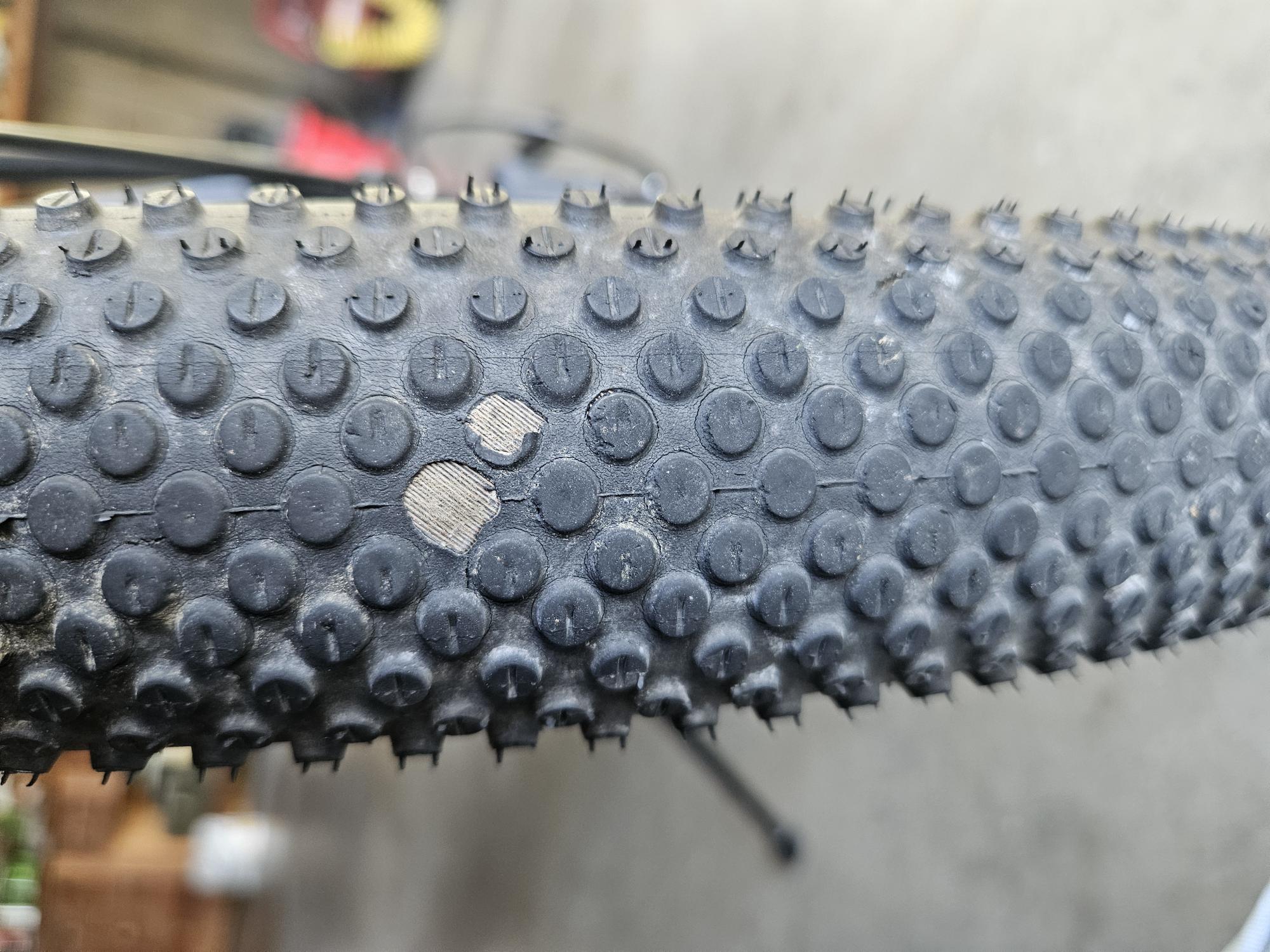 Bike Tire.jpg