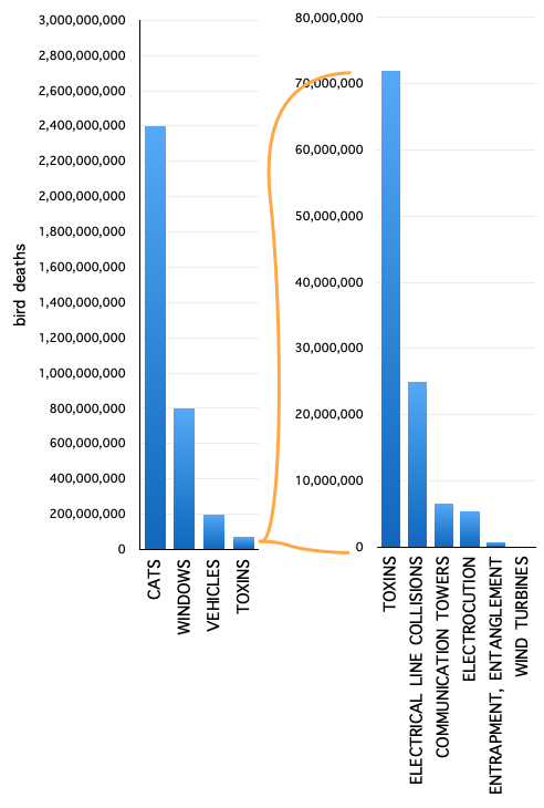 bird-deaths-1.png