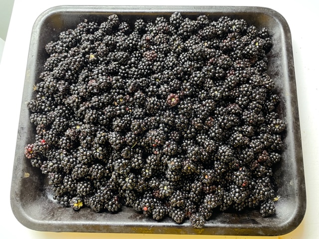 Blackberries.jpg