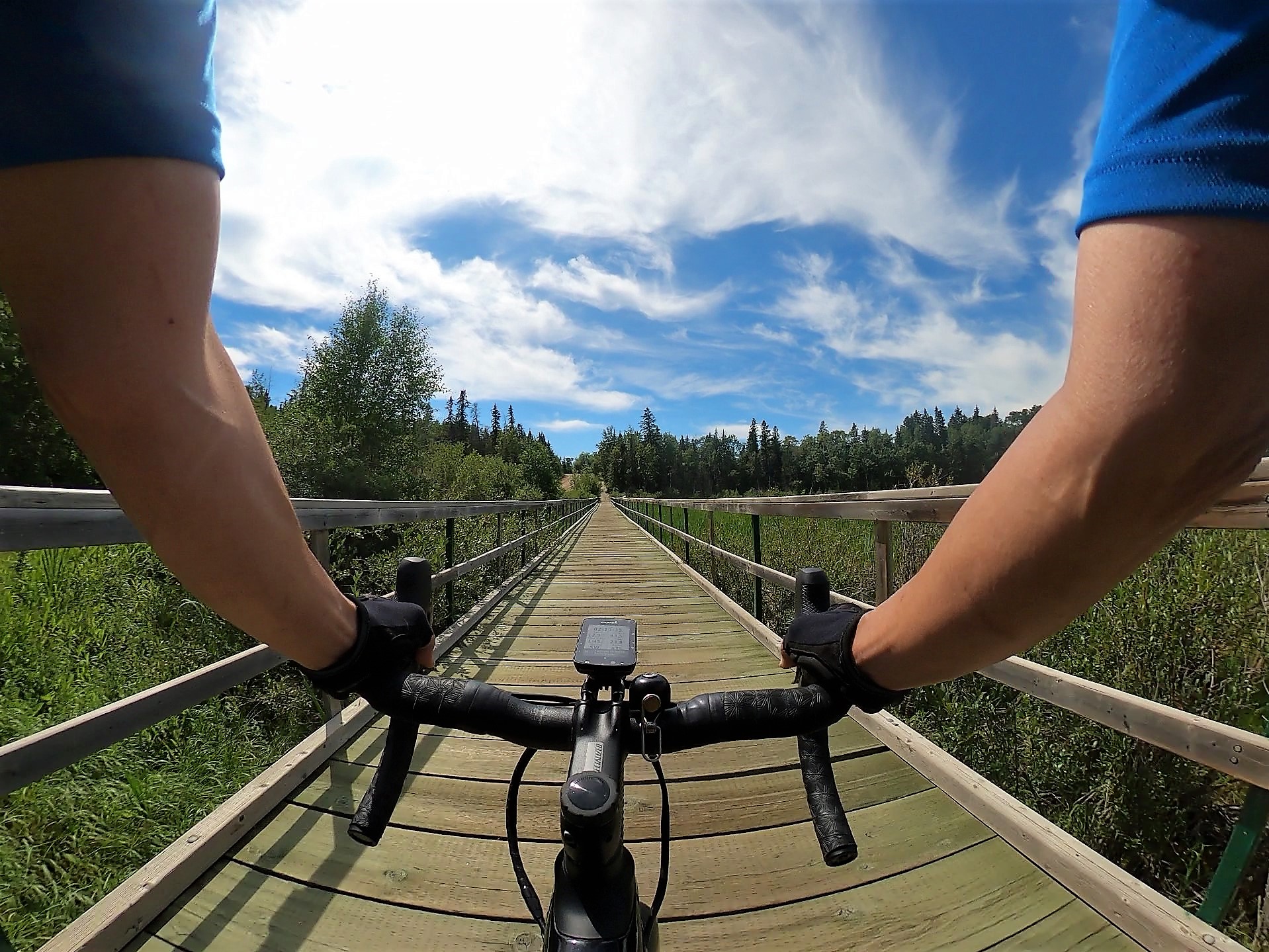 Bridge Lacombe Lake.jpg