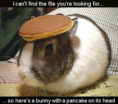 Bunny w:Pancake.jpg