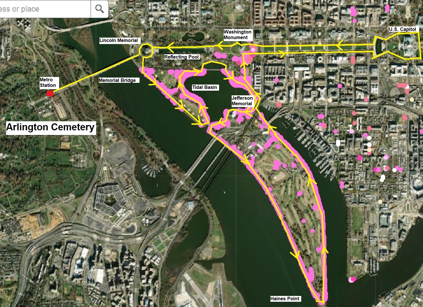 Cherry Blossom Map.jpg