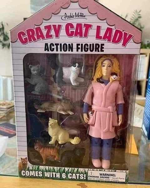 crazy-cat-lady.jpg