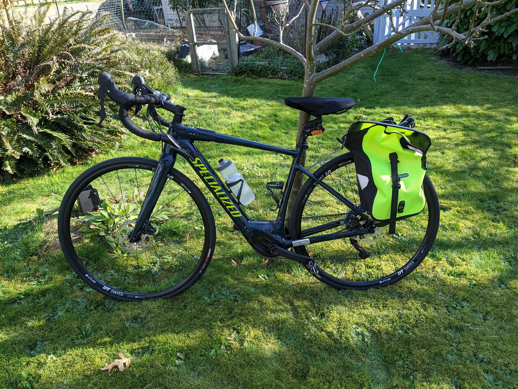 Creo in Sun backyard2.jpg