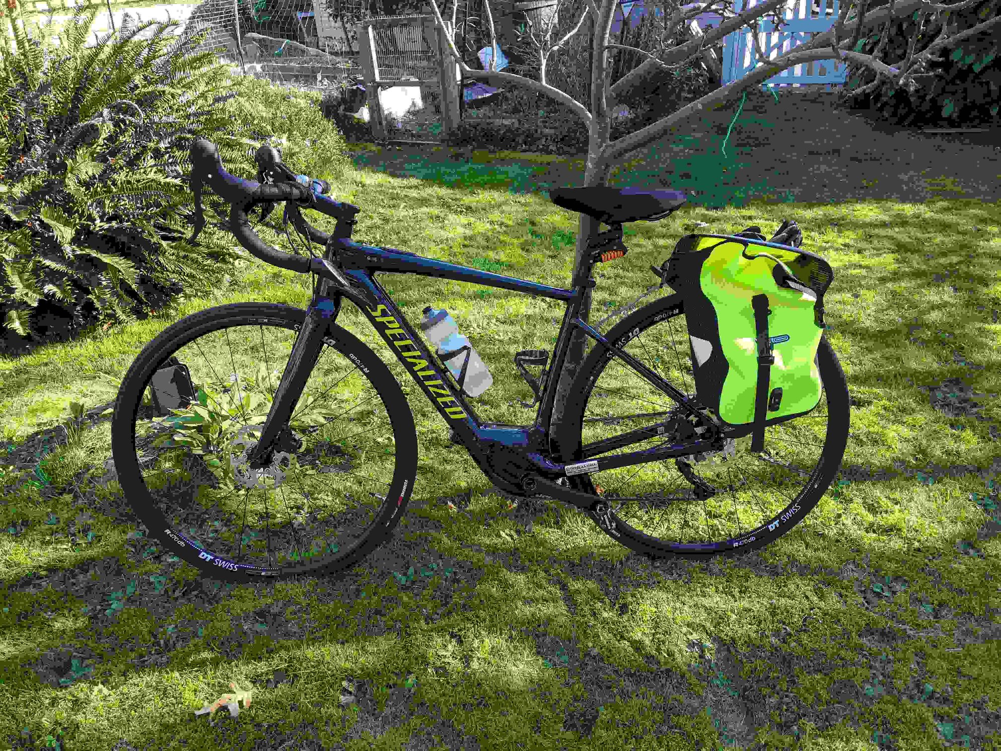 Creo in Sun backyard2.jpg