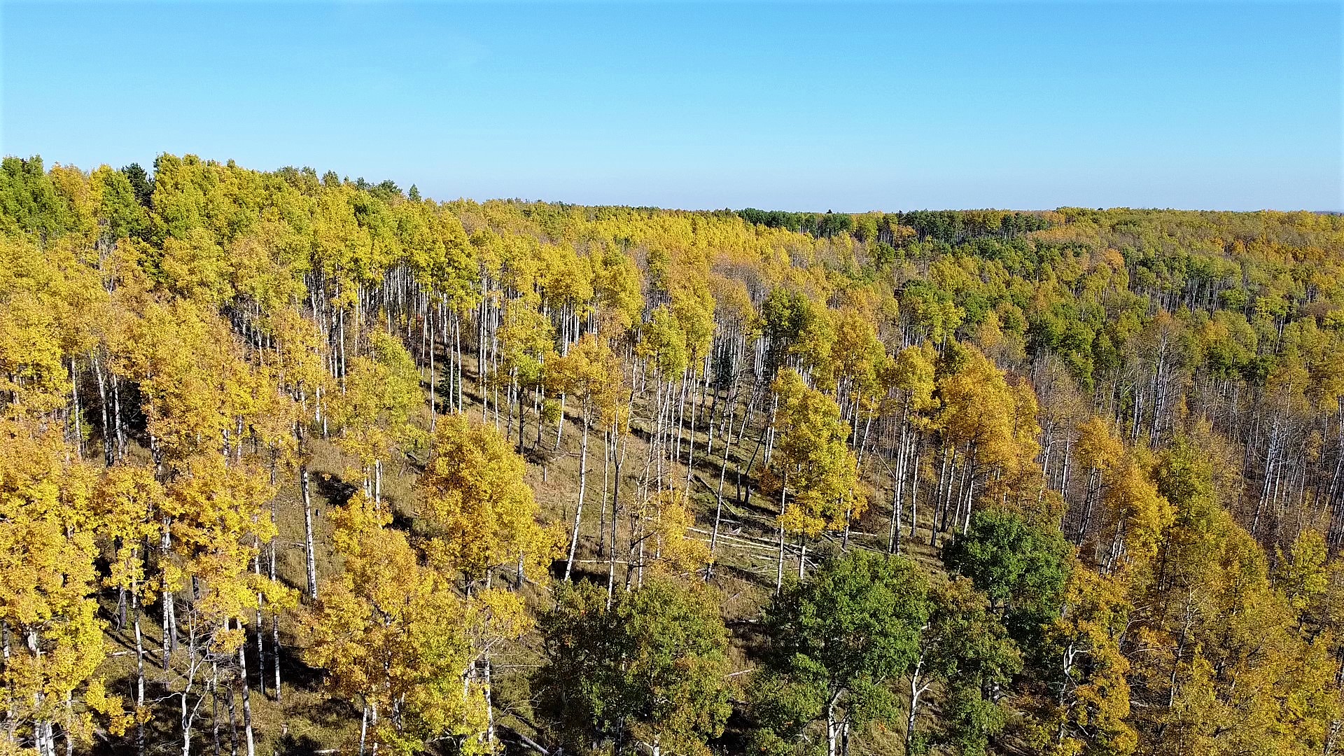 DJI_0048_Moment3.jpg