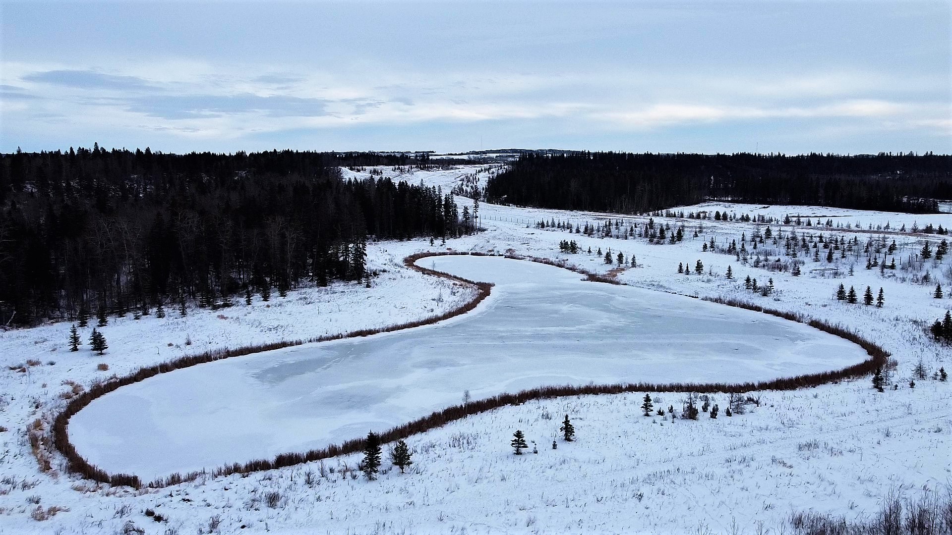 DJI_0068_Moment.jpg