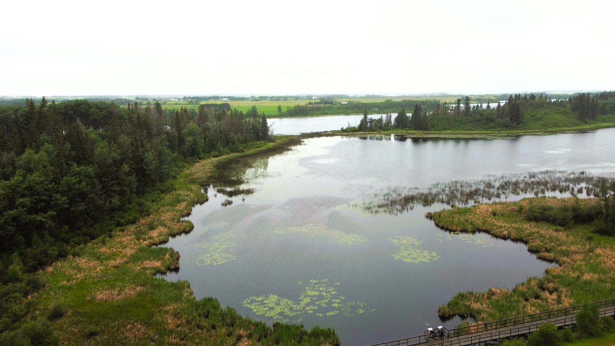 DJI_0148 - frame at 0m3s.jpg