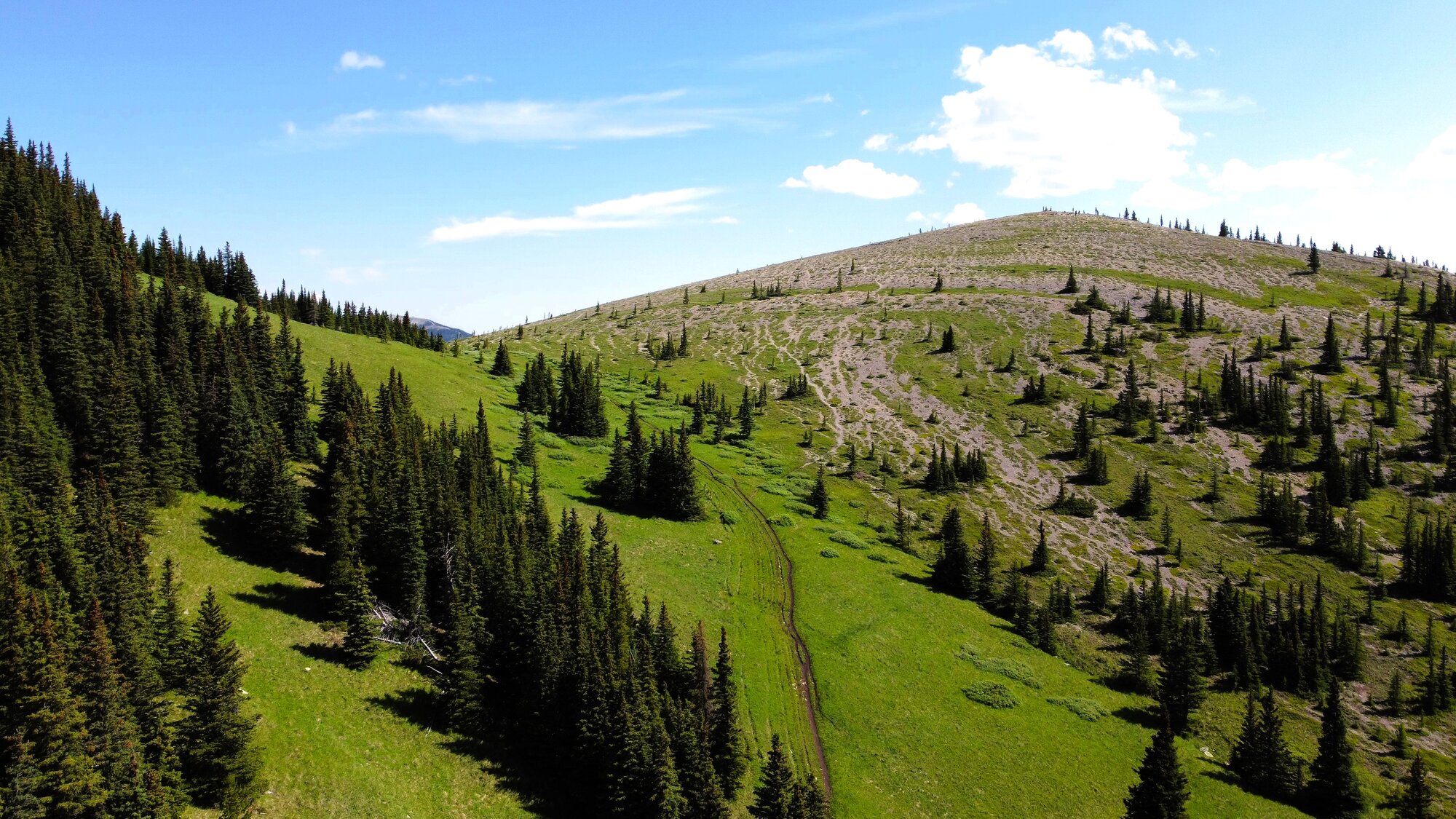 DJI_0156 - frame at 0m0s.jpg