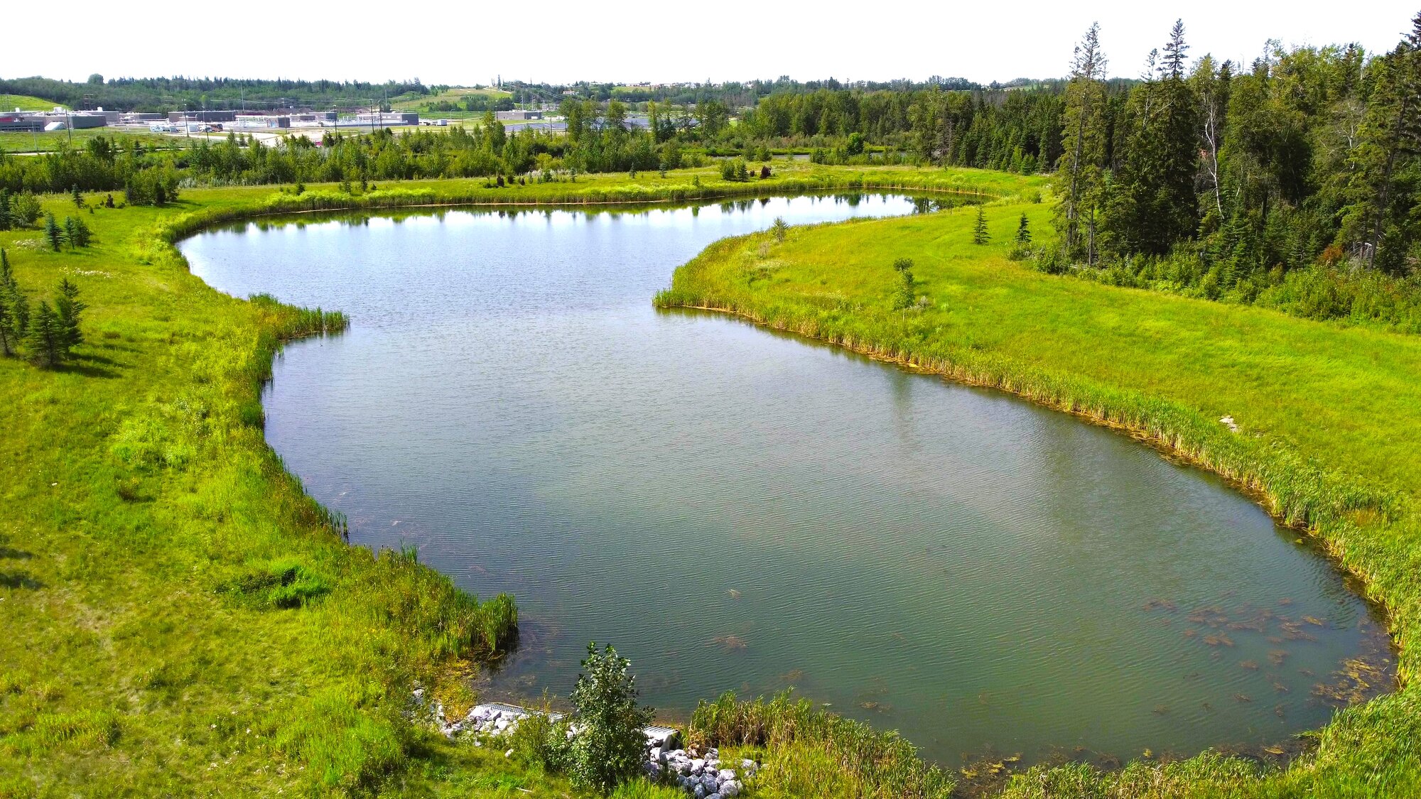 DJI_0170 - frame at 0m2s.jpg