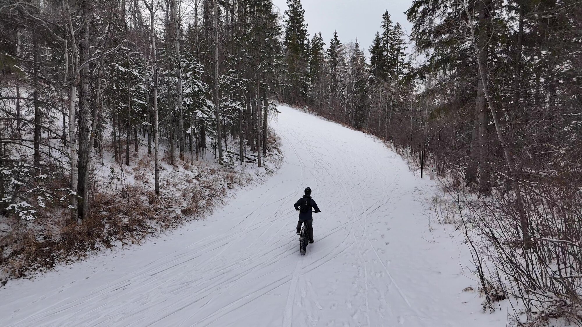 DJI_20240329120235_0002_D - frame at 1m6s.jpg