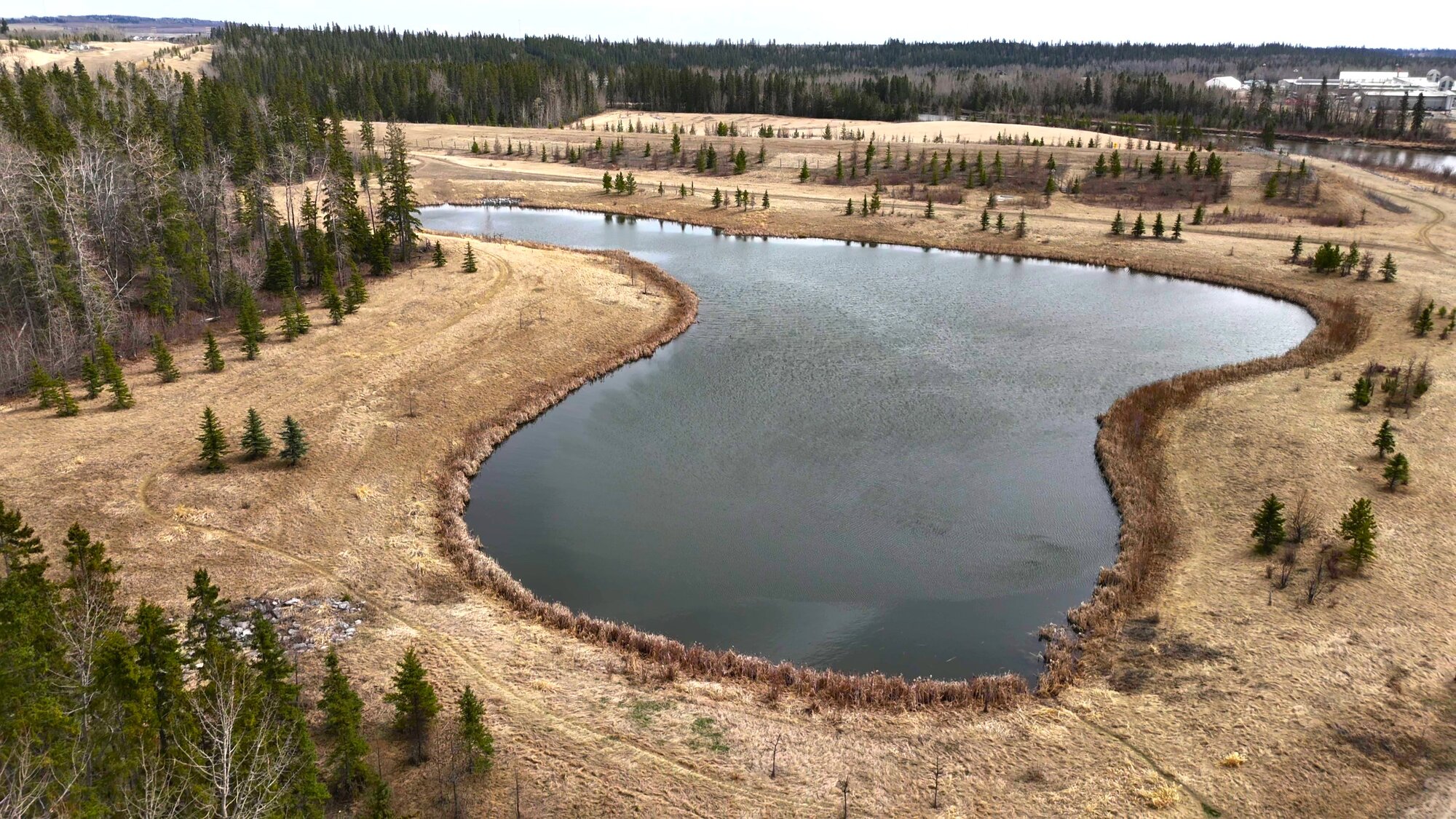 DJI_20240424152300_0024_D - frame at 0m36s.jpg