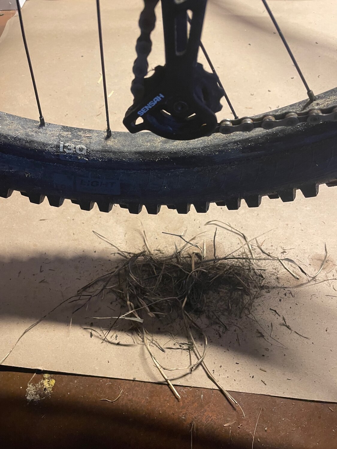 Dune Grass Cloggage.jpg