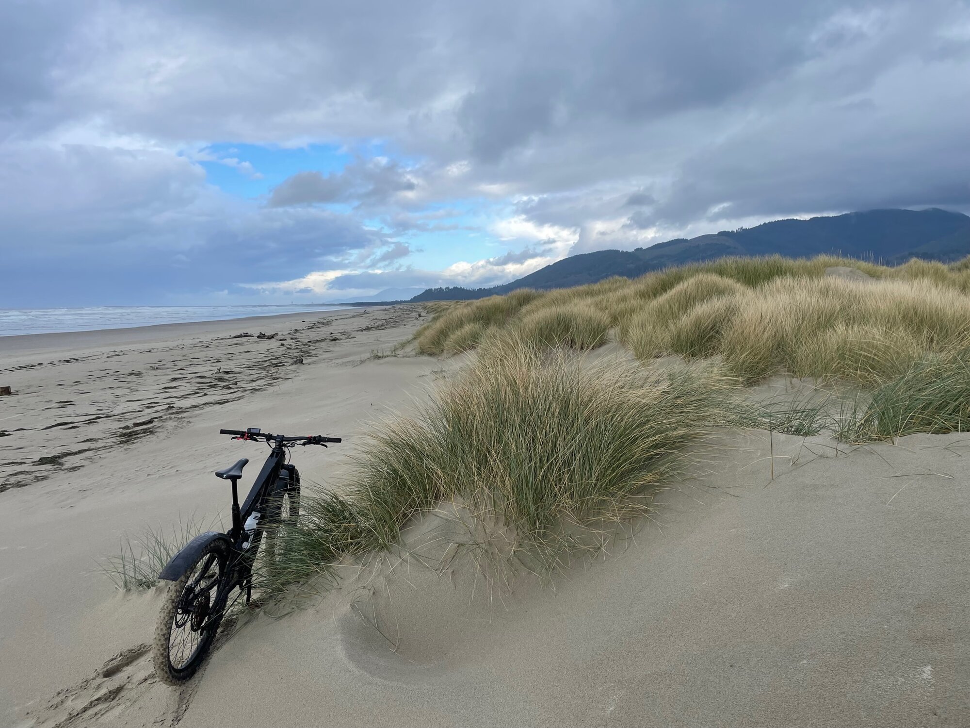 Dune grass sucker hole.jpg