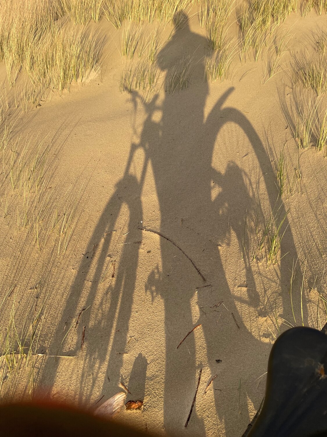 Dune Shadow.jpg